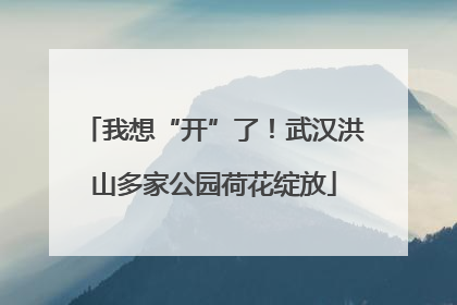我想“开”了！武汉洪山多家公园荷花绽放