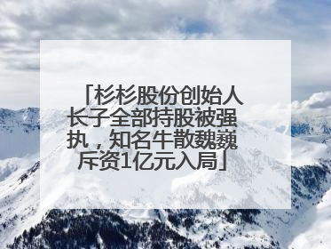 杉杉股份创始人长子全部持股被强执，知名牛散魏巍斥资1亿元入局