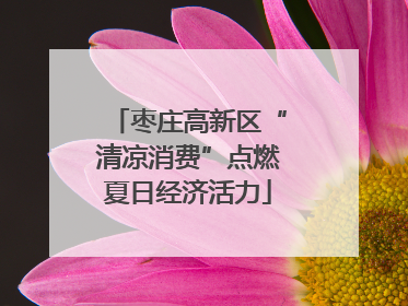 枣庄高新区“清凉消费”点燃夏日经济活力
