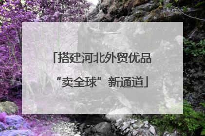 搭建河北外贸优品“卖全球”新通道