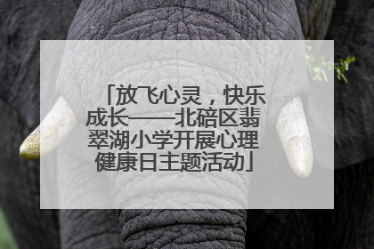 放飞心灵，快乐成长——北碚区翡翠湖小学开展心理健康日主题活动
