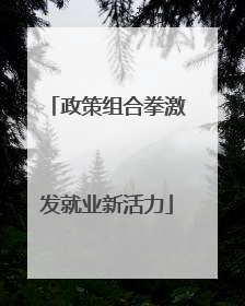 政策组合拳激发就业新活力
