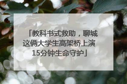 教科书式救助，聊城这俩大学生高架桥上演15分钟生命守护