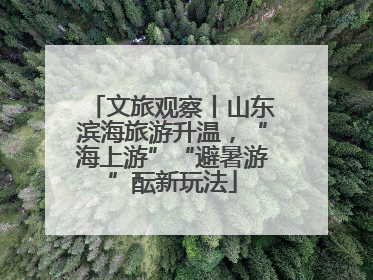 文旅观察丨山东滨海旅游升温，“海上游”“避暑游”酝新玩法