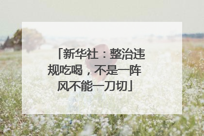 新华社：整治违规吃喝，不是一阵风不能一刀切