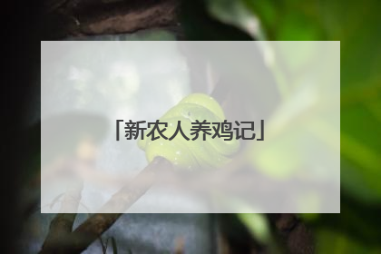 新农人养鸡记
