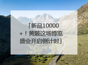 新品10000+！黄陂这场博览盛会开启倒计时