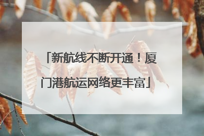 新航线不断开通！厦门港航运网络更丰富