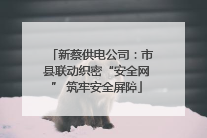 新蔡供电公司：市县联动织密“安全网” 筑牢安全屏障