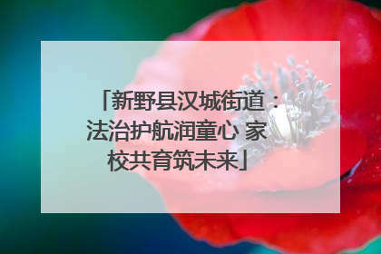 新野县汉城街道：法治护航润童心 家校共育筑未来