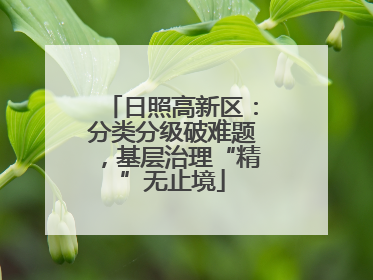 日照高新区：分类分级破难题，基层治理“精”无止境