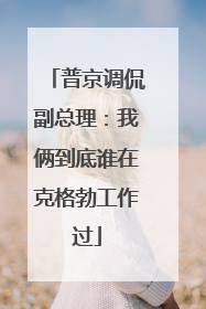 普京调侃副总理：我俩到底谁在克格勃工作过