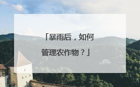 暴雨后，如何管理农作物？