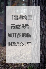 暑期将至 青藏铁路加开多趟临时旅客列车
