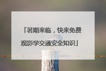 暑期来临，快来免费观影学交通安全知识