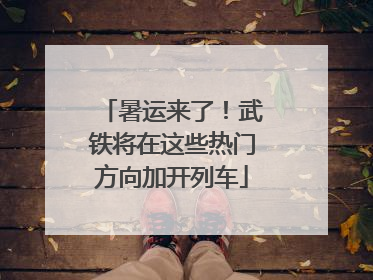 暑运来了！武铁将在这些热门方向加开列车