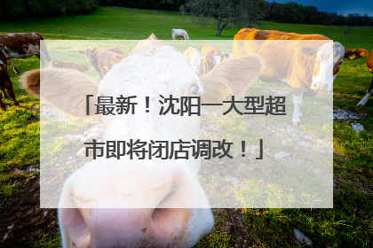 最新！沈阳一大型超市即将闭店调改！