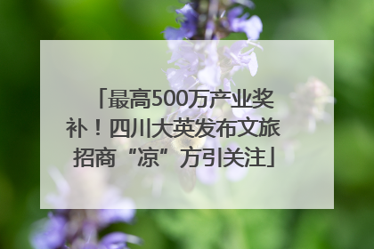 最高500万产业奖补！四川大英发布文旅招商“凉”方引关注