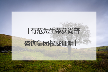 有范先生荣获尚普咨询集团权威证明