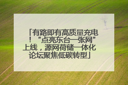 有路即有高质量充电！“点亮东台一张网”上线，源网荷储一体化论坛聚焦低碳转型