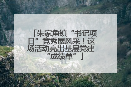 朱家角镇“书记项目”竞秀展风采！这场活动亮出基层党建“成绩单”