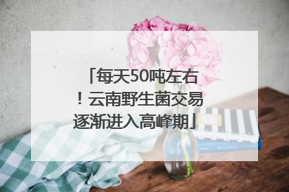 每天50吨左右！云南野生菌交易逐渐进入高峰期