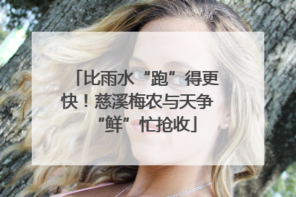 比雨水“跑”得更快！慈溪梅农与天争“鲜”忙抢收