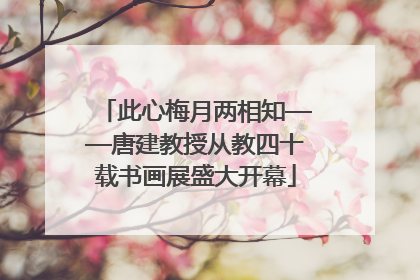 此心梅月两相知——唐建教授从教四十载书画展盛大开幕