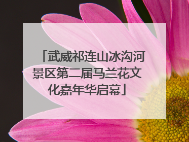 武威祁连山冰沟河景区第二届马兰花文化嘉年华启幕