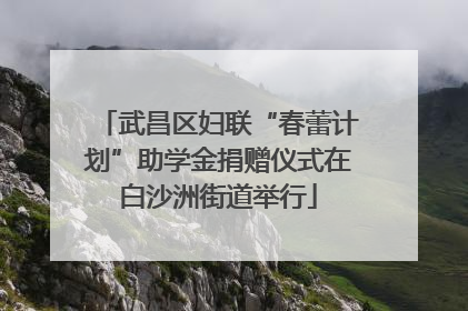 武昌区妇联“春蕾计划”助学金捐赠仪式在白沙洲街道举行