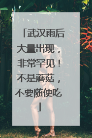 武汉雨后大量出现，非常罕见！不是蘑菇，不要随便吃