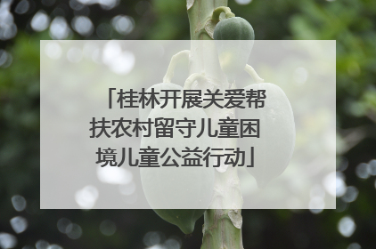 桂林开展关爱帮扶农村留守儿童困境儿童公益行动