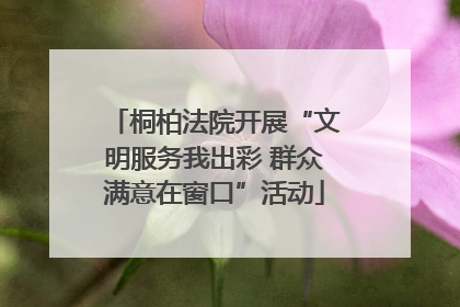 桐柏法院开展“文明服务我出彩 群众满意在窗口”活动