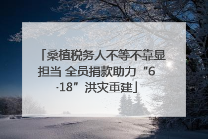 桑植税务人不等不靠显担当 全员捐款助力“6·18”洪灾重建