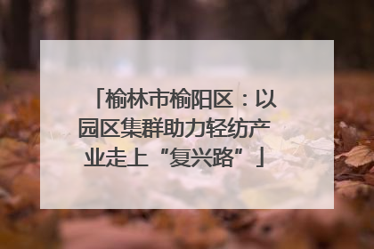 榆林市榆阳区：以园区集群助力轻纺产业走上“复兴路”