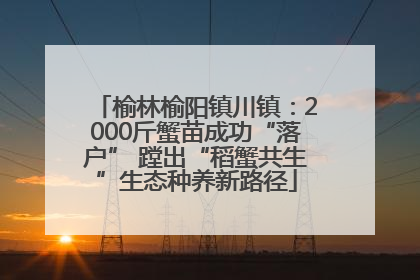 榆林榆阳镇川镇：2000斤蟹苗成功“落户” 蹚出“稻蟹共生”生态种养新路径