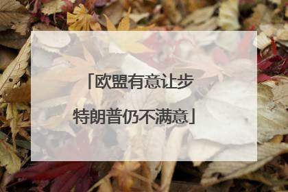 欧盟有意让步 特朗普仍不满意