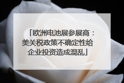 欧洲电池展参展商：美关税政策不确定性给企业投资造成混乱