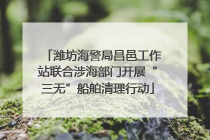 潍坊海警局昌邑工作站联合涉海部门开展“三无”船舶清理行动