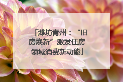 潍坊青州：“旧房焕新”激发住房领域消费新动能