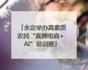 永定举办高素质农民“直播电商+AI”培训班