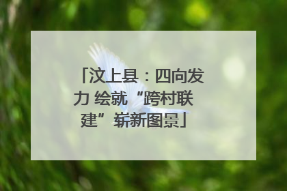 汶上县：四向发力 绘就“跨村联建”崭新图景