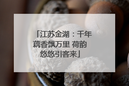 江苏金湖：千年藕香飘万里 荷韵悠悠引客来