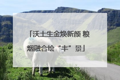 沃土生金焕新颜 粮烟融合绘“丰”景