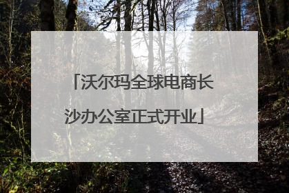 沃尔玛全球电商长沙办公室正式开业