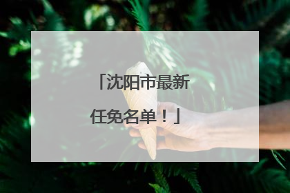 沈阳市最新任免名单！