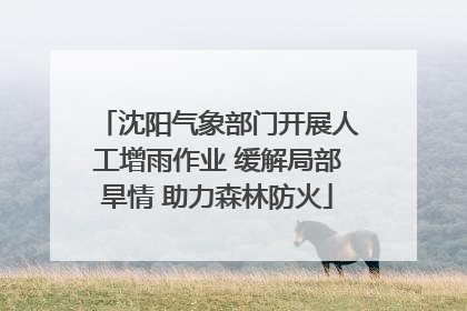 沈阳气象部门开展人工增雨作业 缓解局部旱情 助力森林防火