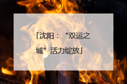 沈阳：“双运之城”活力绽放