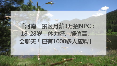 河南一景区月薪3万招NPC：18-28岁，体力好、颜值高、会聊天！已有1000多人应聘