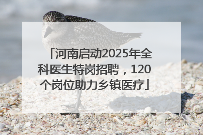 河南启动2025年全科医生特岗招聘，120个岗位助力乡镇医疗